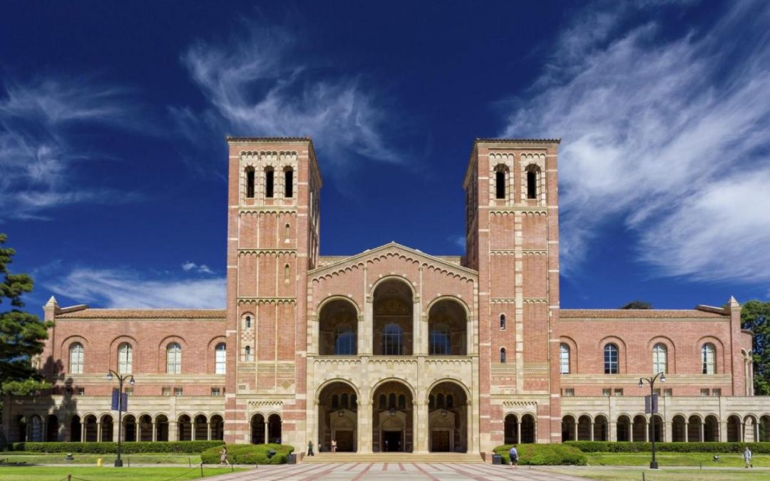 Professores de mindfulness, ciência estudada nas principais universidades do mundo